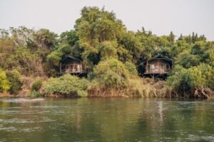 Tinswalo Siankaba December Promo